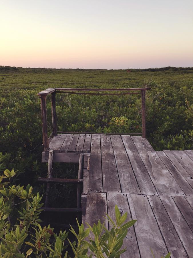 Hotel Nativus Glamping & Cenote Tulum Zewnętrze zdjęcie