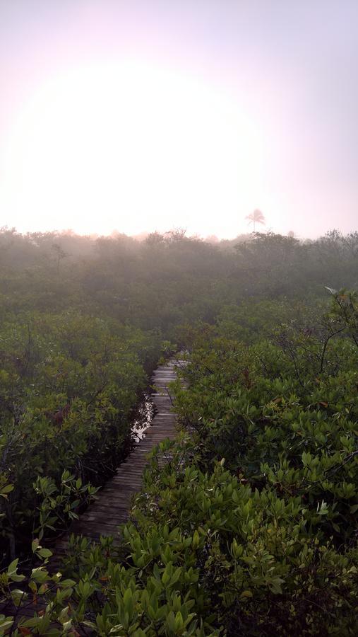 Hotel Nativus Glamping & Cenote Tulum Zewnętrze zdjęcie
